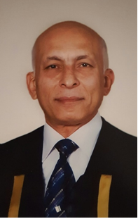 Raouf Abdelhamed Elmalwany
