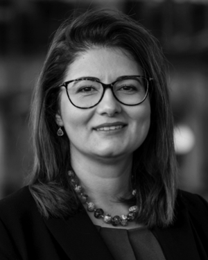 Aida Todri-Sanial