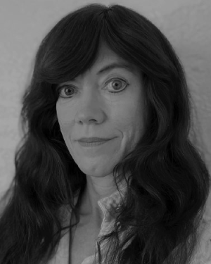 cynthia j bresloff
