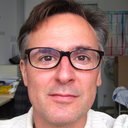 Dirk Henrich