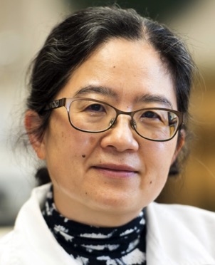 Leluo Guan