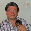 Mauro Cintra Giudice