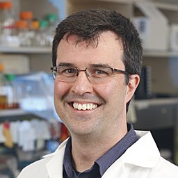 David A. Dyment