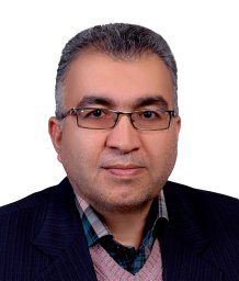Mohammad Ali Behdani