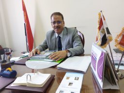 Mohamed M. Fouad