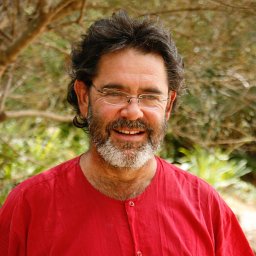 Mark Swilling