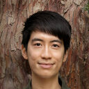 Edgar L. Y. Wong