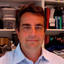 Gerhard Engler