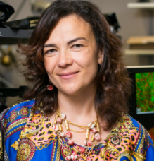 Irene Georgakoudi