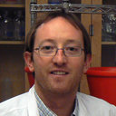 Alessandro Morotti