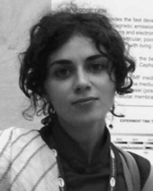 G. Del Vecchio