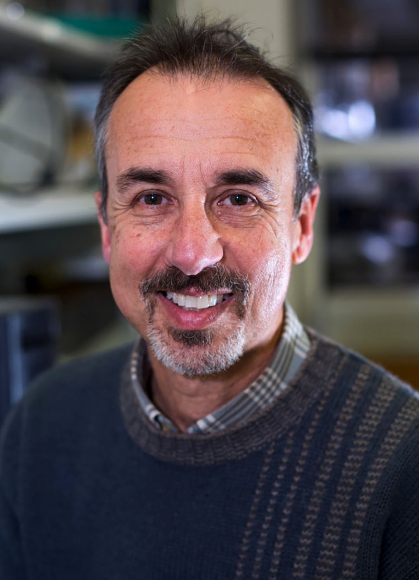 Eduardo Groisman
