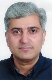 S. M. Moghimi