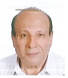Rashwan Rashwan Ahmed