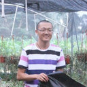 Weiling Wang