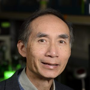 Leslie Tung