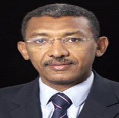 Salah Gariballa