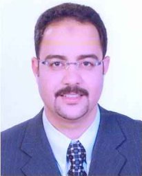 Aref Nasr-Eldin M
