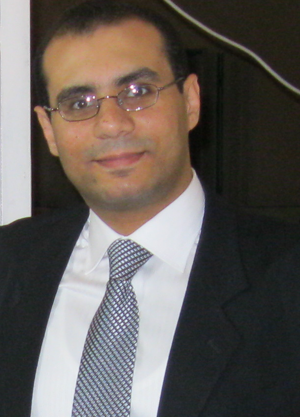 Mohamed Y. Eltabakh