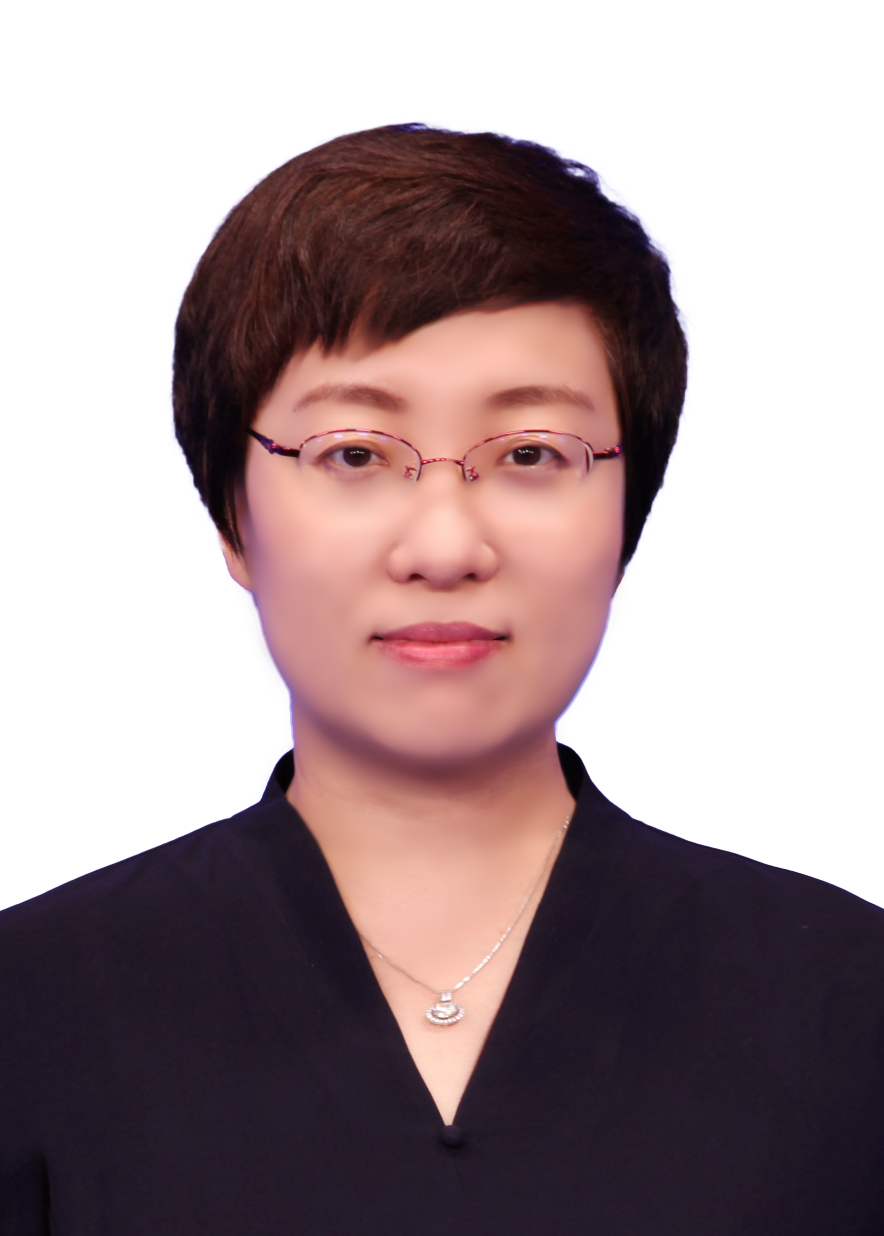 Haiyan Li