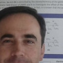 Stefano Borocci