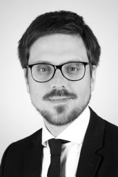 Erwin Stolz