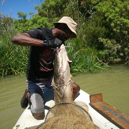 Dumisani Khosa