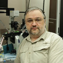 Evgeniy Potapenko