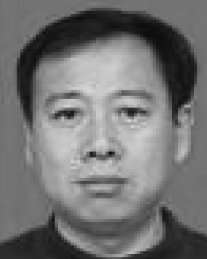 LianSuo Wei
