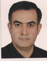 MirHashemi Amir Hossein