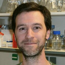 Pedro O Quintas