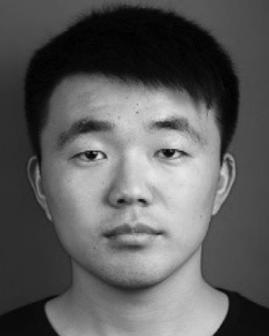 Dianlin Hu
