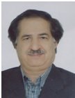 Seyed Ahmad Mirbagheri