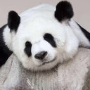 Xiaoyun Chen