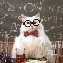 Tom De Smedt