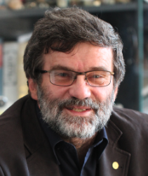 Cristian Silvestru