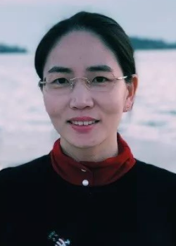 Lin Qi