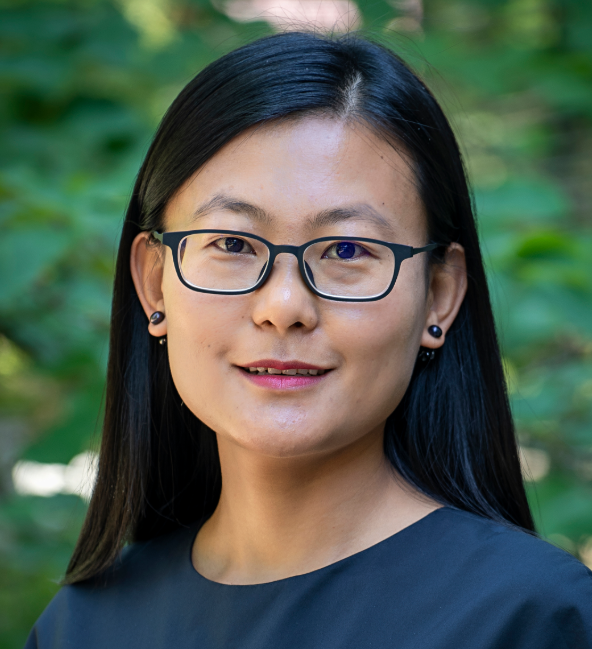Shixia Yang