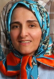 Saideh Sadat Mortazavi