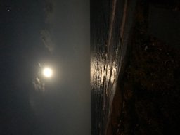 Acehan Selen