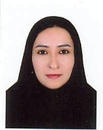 M. Shamsizadeh