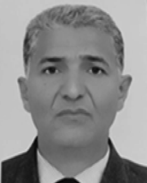 Fathi Abdelmalek