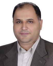 Mohammad H. Namaei