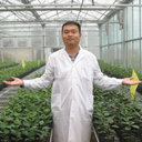 Wenhao Bo