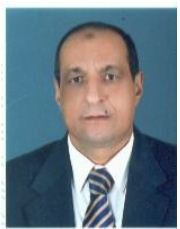 Mohamed A. Ramadan