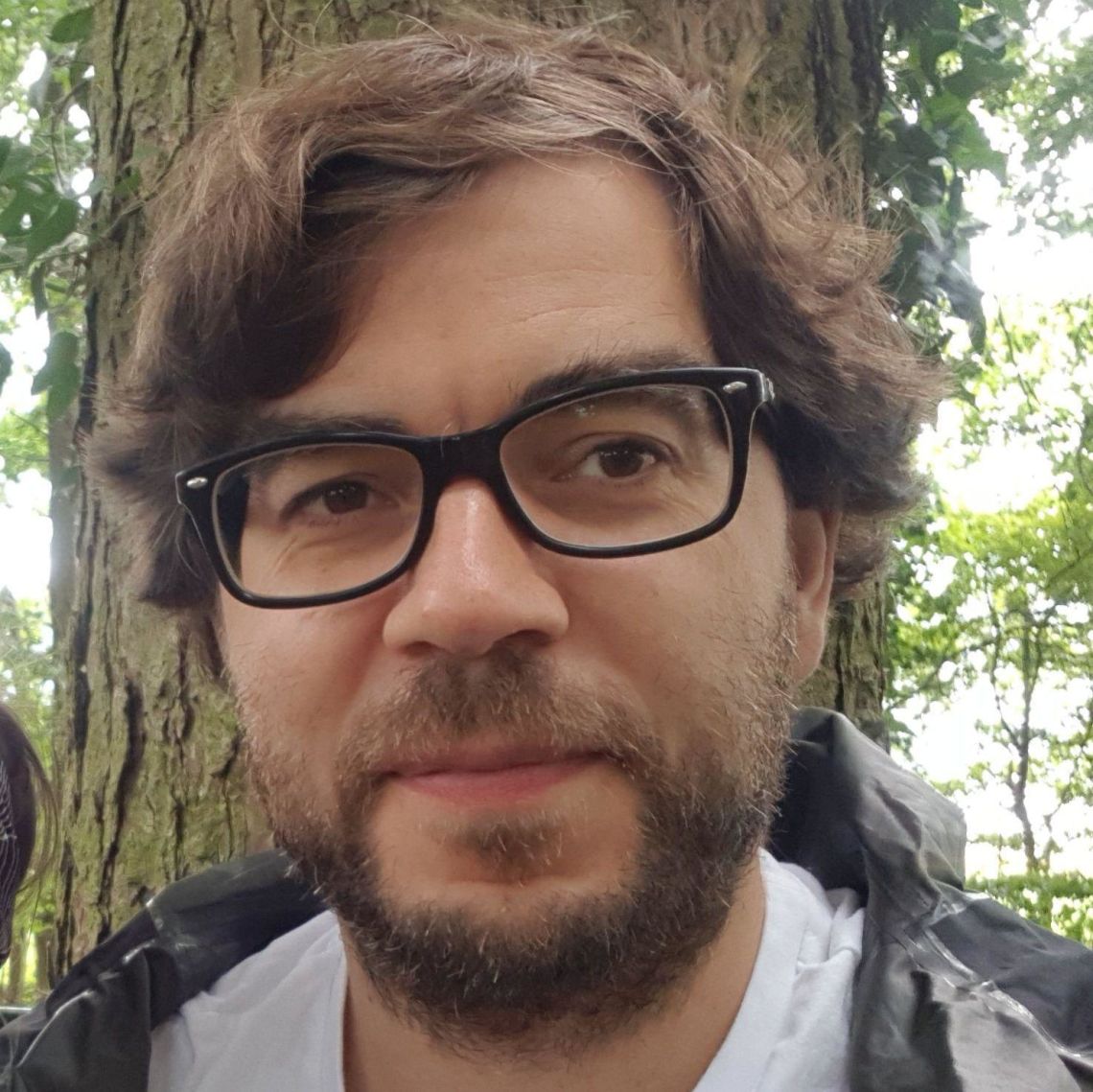 Johannes C. Dahmen