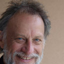 Ian L Gibbins