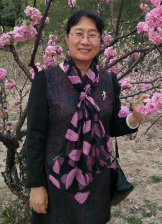 Yan Mei