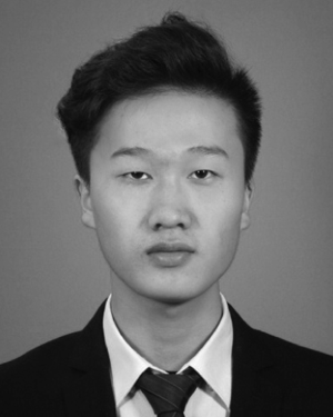 Donghui Feng