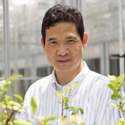 Kenong Xu